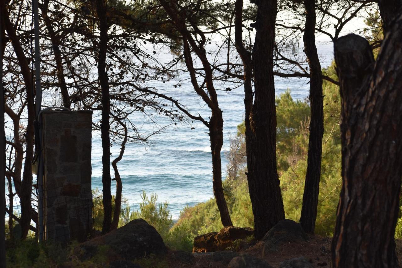 Dolihis Gi, Poseidon Villa Gialiskari  Luaran gambar